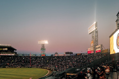 THE LAST GAME THE LAST GAME