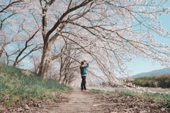 桜とセルフポートレート