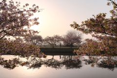 春の合図