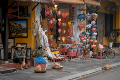 犬とおばあちゃん