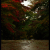 雨の日の情景