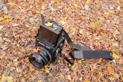 My good camera