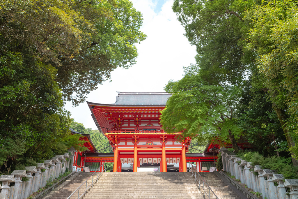 夏の近江神宮