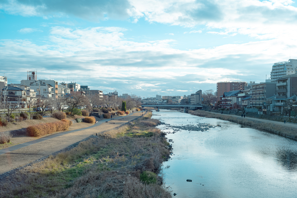 冬の鴨川