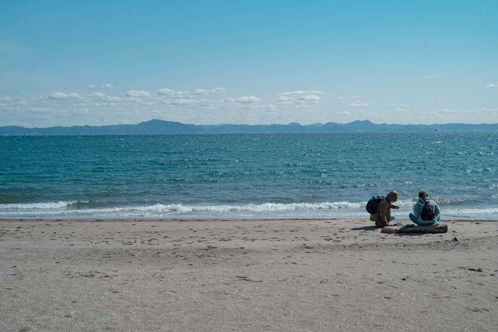 三浦海岸