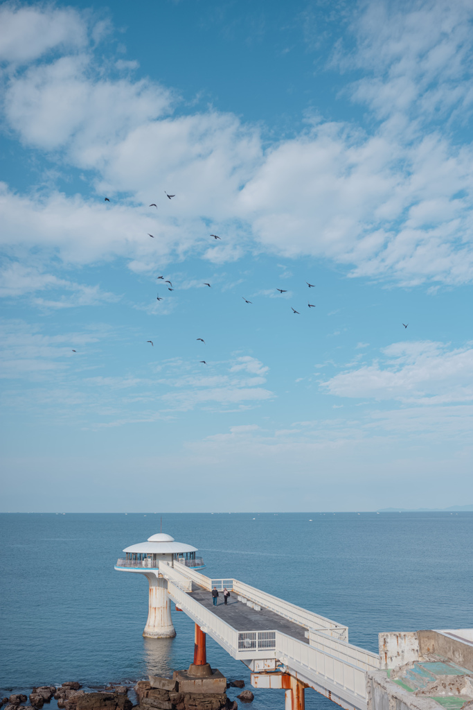 Seagulls Above The Sea