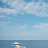 Seagulls Above The Sea