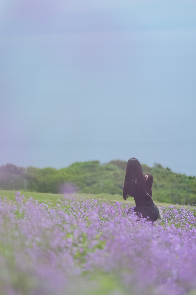 淡路島の春
