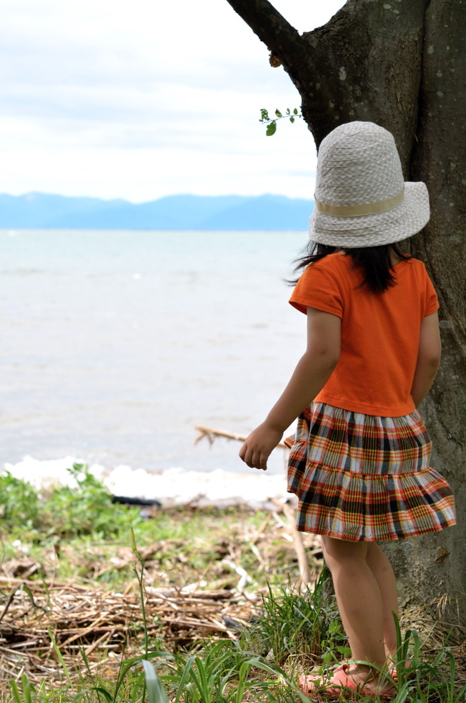 夏が恋しくて