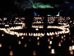 candle night