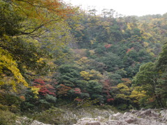 渓谷3