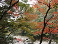 渓谷6