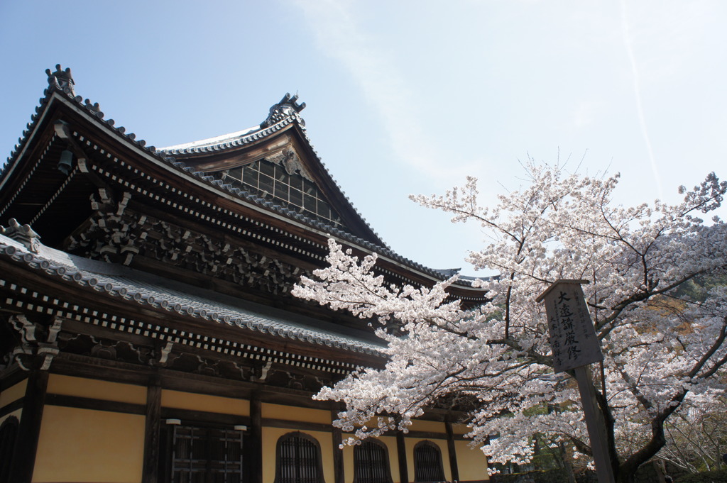 寺とさくら