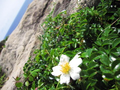 潮風