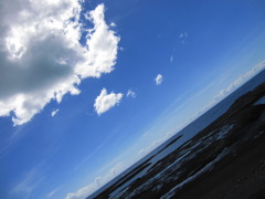 青