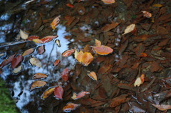 photo1132026
