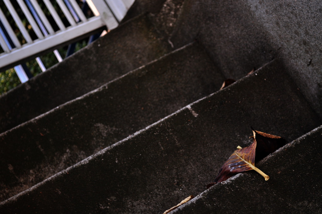 photo1132069
