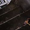 photo1132069