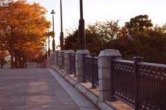 photo1132028