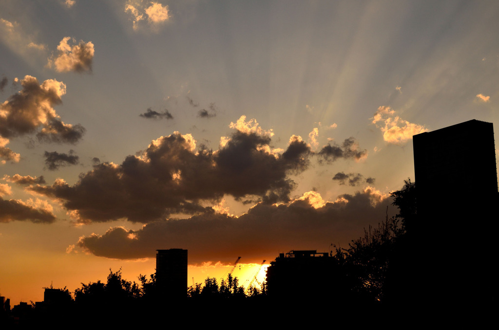 sunset 