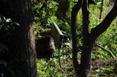 photo1132025