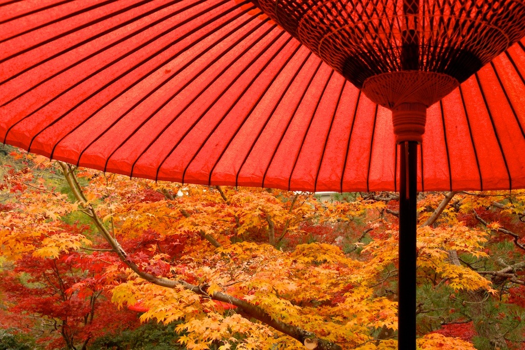 京都　永観堂禅林寺