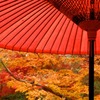 京都　永観堂禅林寺