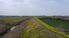 荒川の土手
