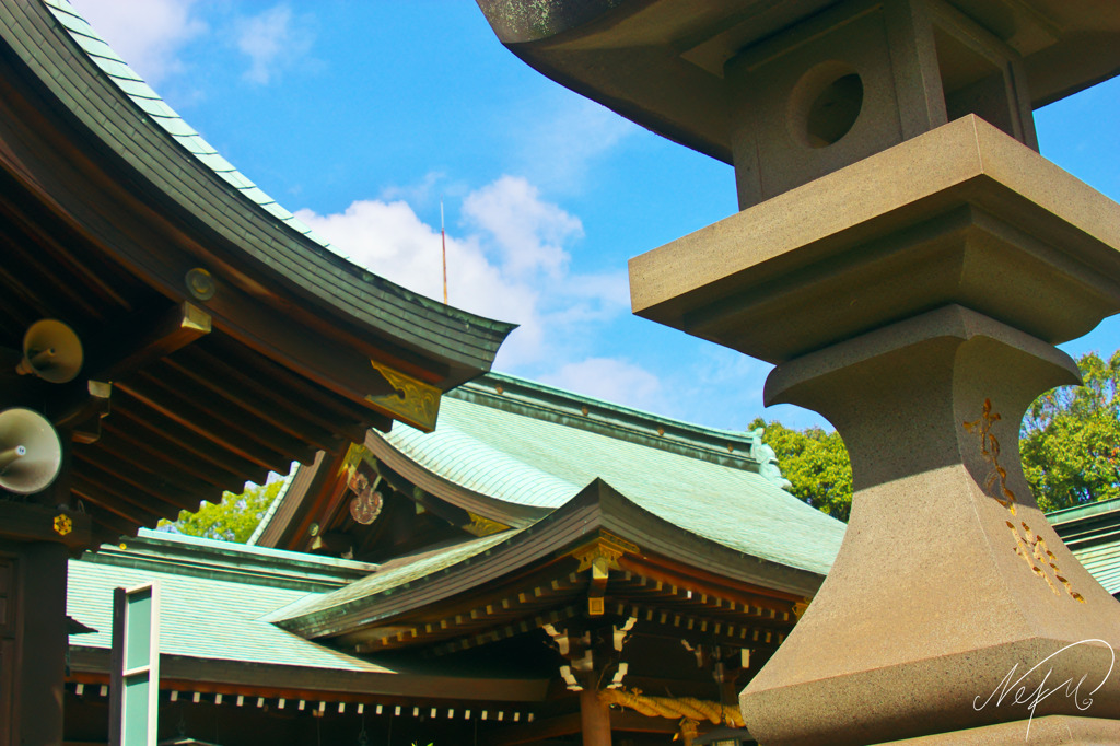 屋根×屋根×屋根