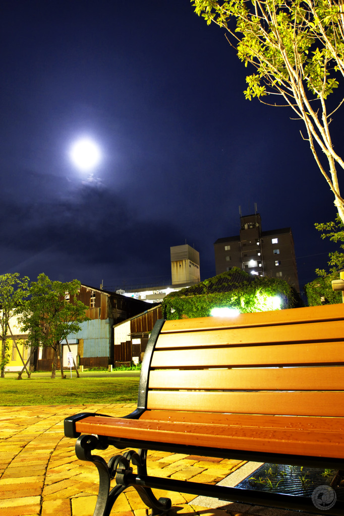 雨上がりの夜に