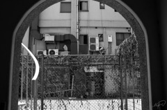 その先の伽藍