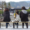 嵐山の休日