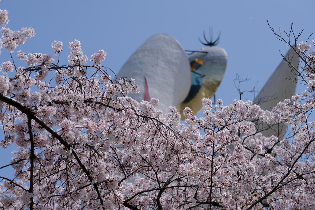 万博公園散歩 6