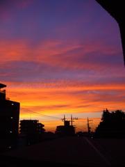 夕日