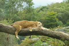 のんびり