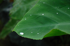 水銀