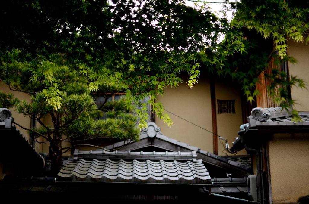 京都初夏