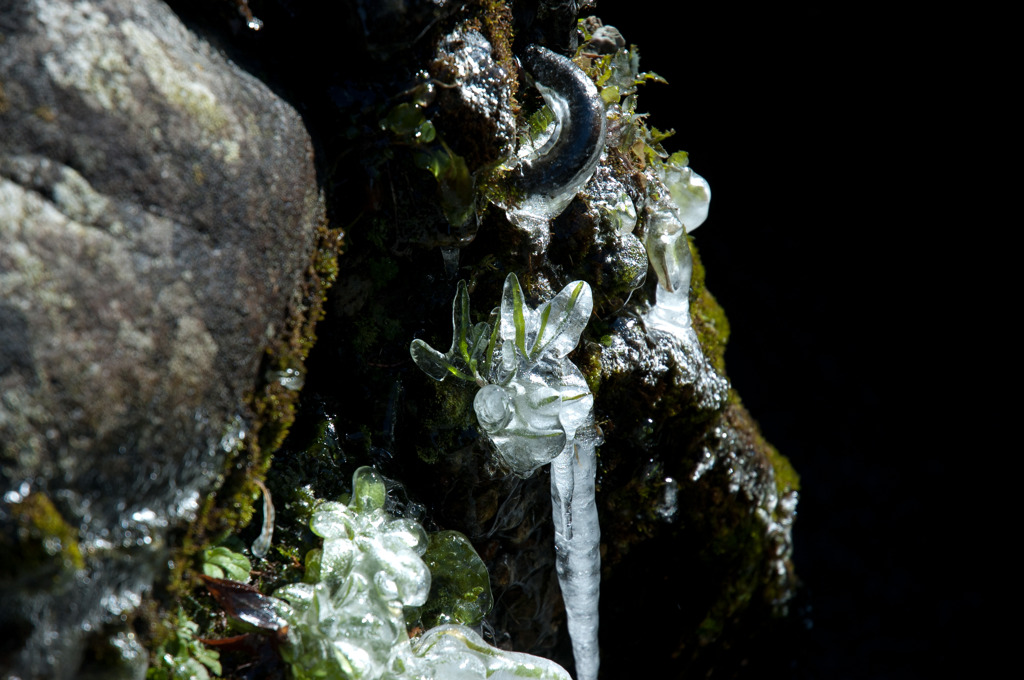 氷結