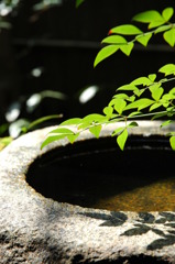 水影