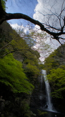 箕面大滝3