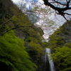 箕面大滝3