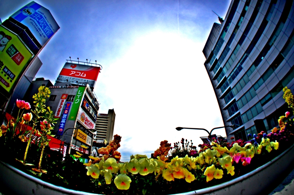 sannomiya flower road