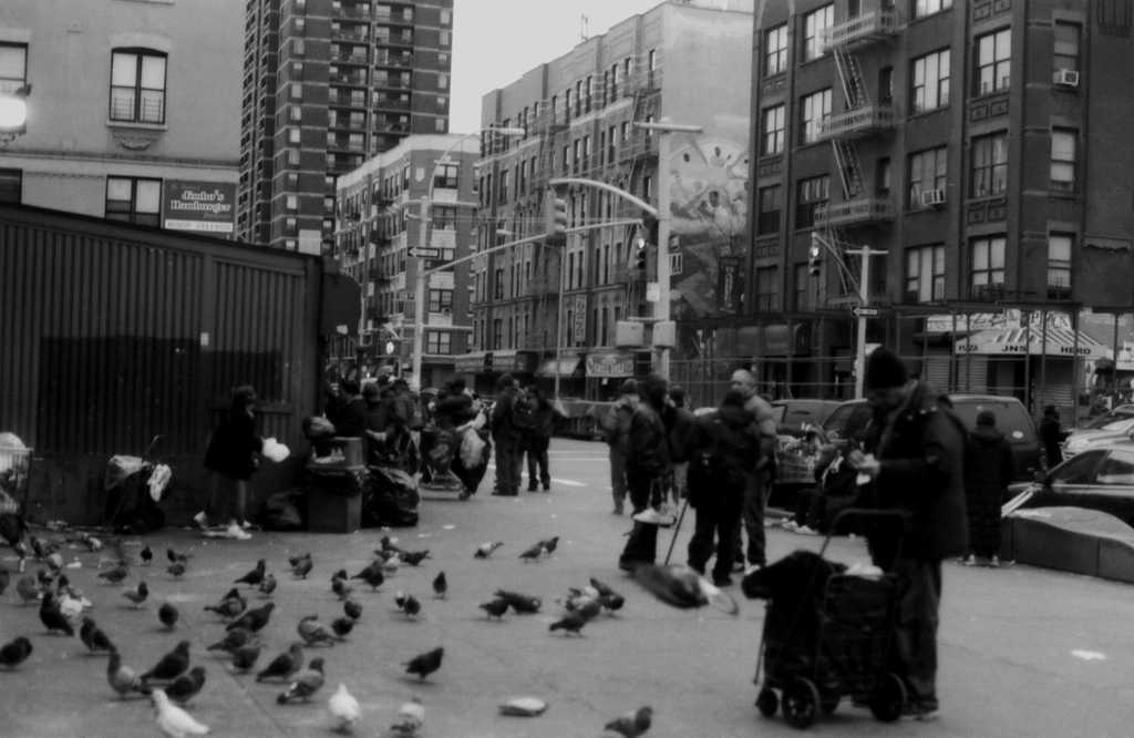 Morning in Harlem