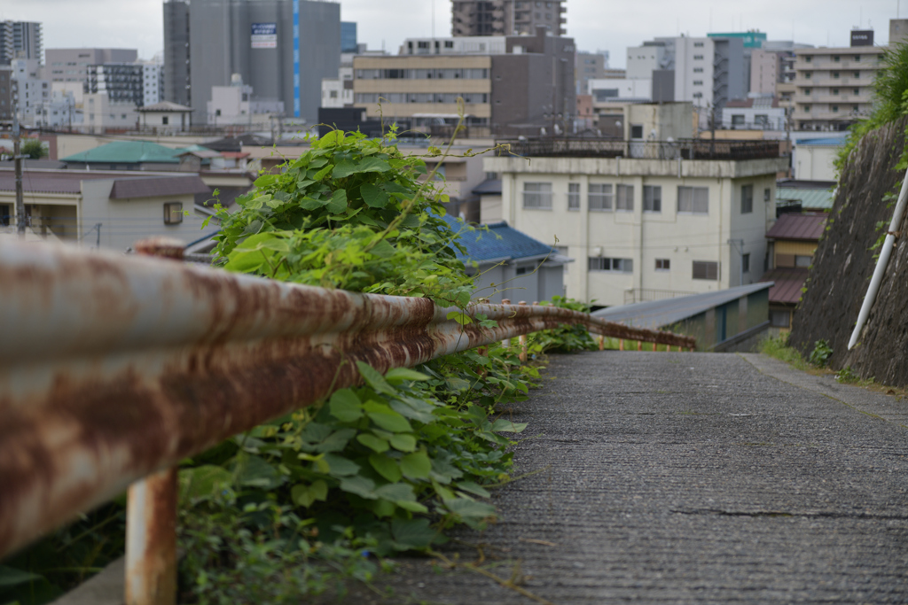 guardrail