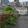 guardrail