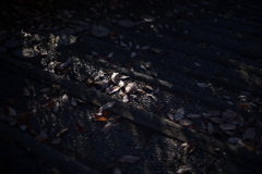 Steps