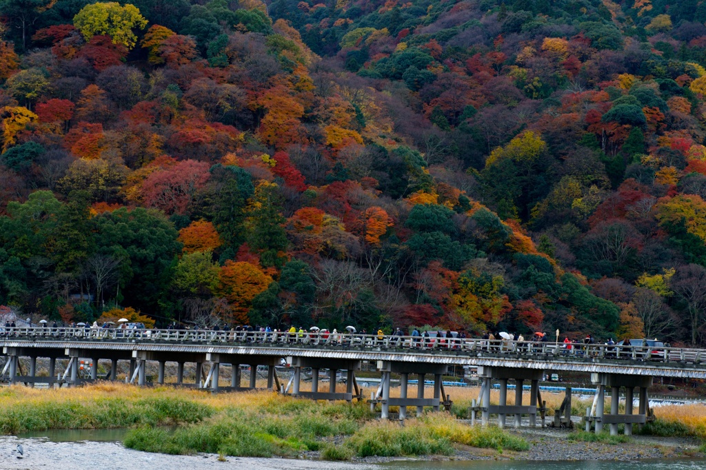 秋　嵐山