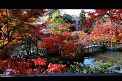 京都 永観堂景観