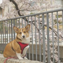 記念撮影☆