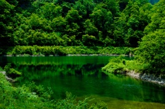 Green nature